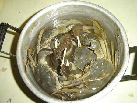 香辣蟹怎么把螃蟹洗得干净（老公最拿手的香辣螃蟹清洗干净不吐沙有诀窍）(2)